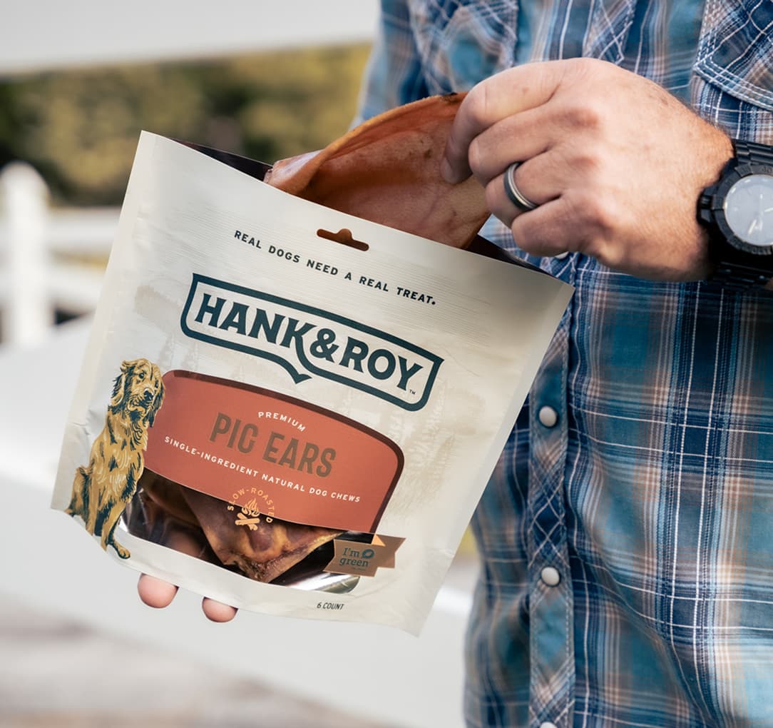 Hank and Roy Pig Ears